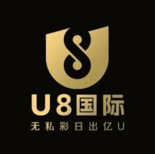 U8国际：无界链接，赋能全球数字化生态